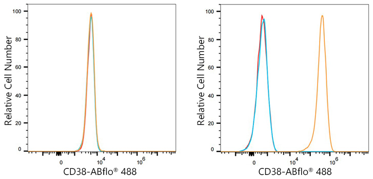 ABflo® 488 Rabbit anti-Human CD38 PolymAb®