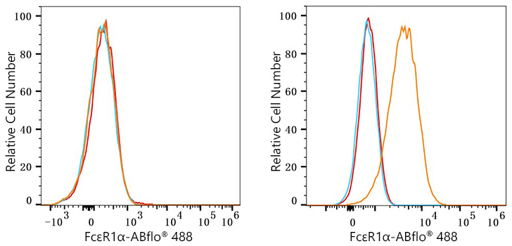 ABflo® 488 Rabbit anti-Human FcεR1α mAb