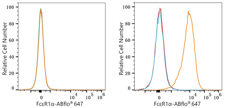 ABflo® 647 Rabbit anti-Human FcεR1α mAb