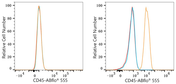 ABflo® 555 Rabbit anti-Human CD45 mAb