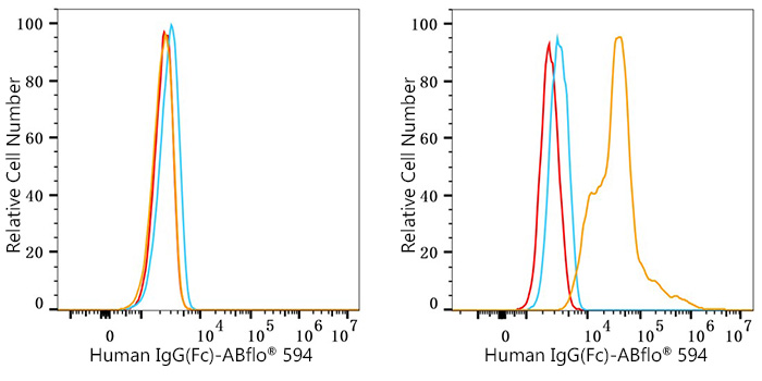 ABflo® 594 Rabbit anti-Human IgG (Fc) mAb