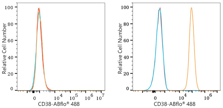 ABflo® 488 Rabbit anti-Human CD38 mAb