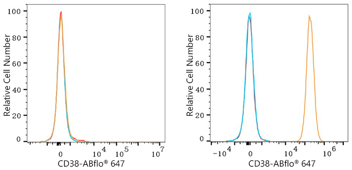 ABflo® 647 Rabbit anti-Human CD38 mAb