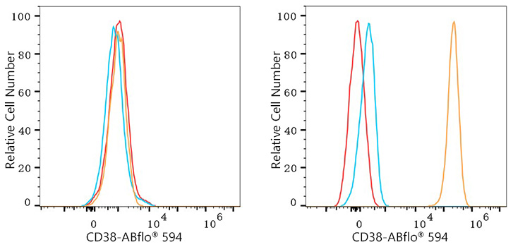 ABflo® 594 Rabbit anti-Human CD38 mAb