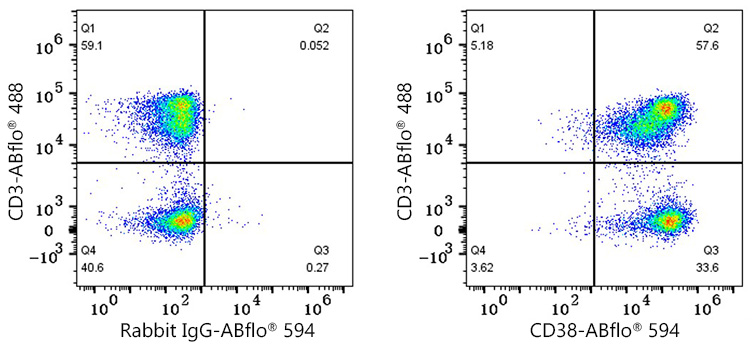 ABflo® 594 Rabbit anti-Human/Monkey CD38 mAb