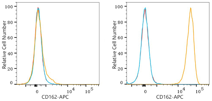 APC Rabbit anti-Human CD162/PSGL-1 mAb