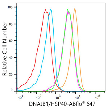 ABflo® 647 Rabbit anti-Human DNAJB1/HSP40 mAb