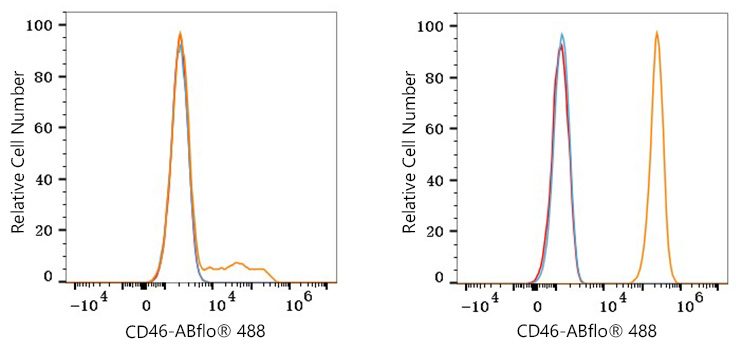 ABflo® 488 Rabbit anti-Human CD46 mAb