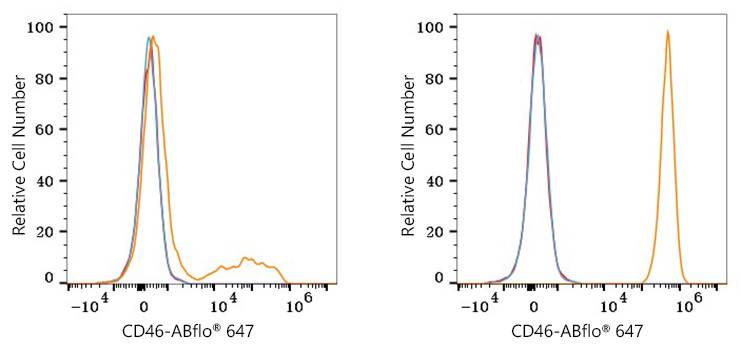 ABflo® 647 Rabbit anti-Human CD46 mAb