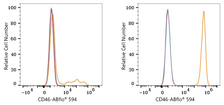 ABflo® 594 Rabbit anti-Human CD46 mAb