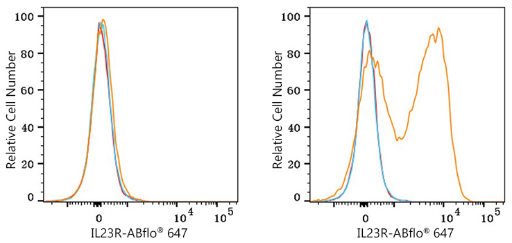 ABflo® 647 Rabbit anti-Human IL23R mAb