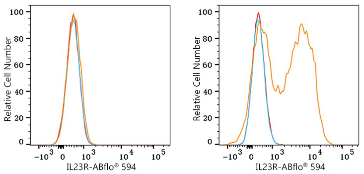 ABflo® 594 Rabbit anti-Human IL23R mAb