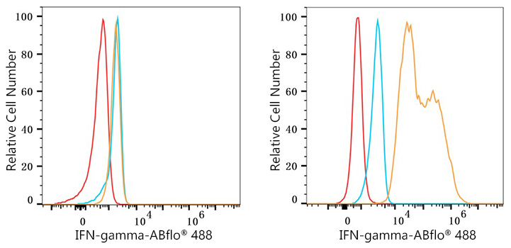 ABflo® 488 Rabbit anti-Human IFN-gamma mAb