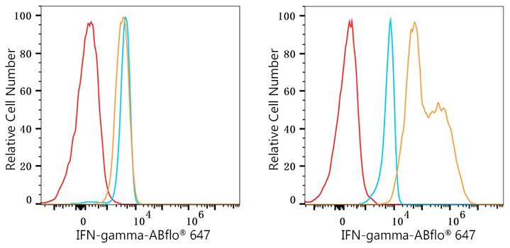 ABflo® 647 Rabbit anti-Human IFN-gamma mAb