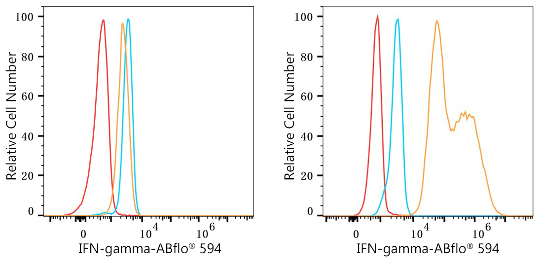 ABflo® 594 Rabbit anti-Human IFN-gamma mAb