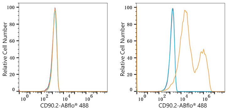 ABflo® 488 Rabbit anti-Mouse CD90.2 mAb