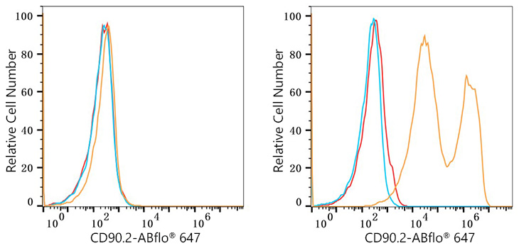 ABflo® 647 Rabbit anti-Mouse CD90.2 mAb