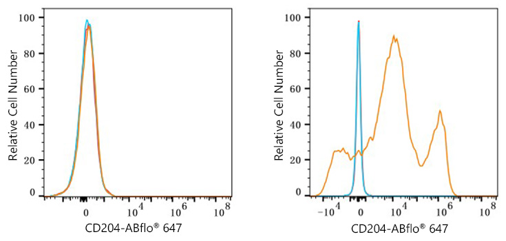 ABflo® 647 Rabbit anti-Human CD204 mAb