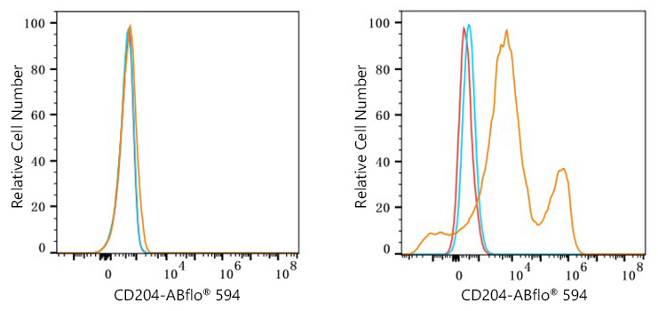 ABflo® 594 Rabbit anti-Human CD204 mAb