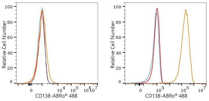 ABflo® 488 Rabbit anti-Human CD138 mAb