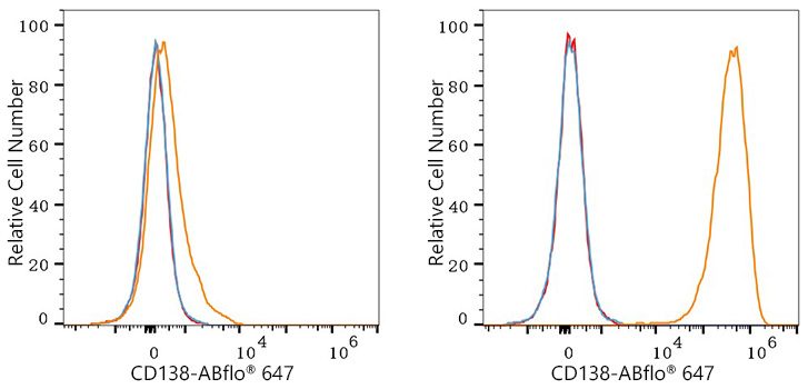 ABflo® 647 Rabbit anti-Human CD138 mAb