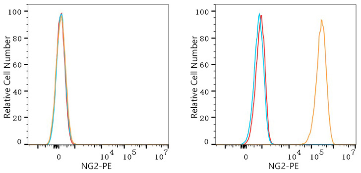 PE Rabbit anti-Human NG2 mAb