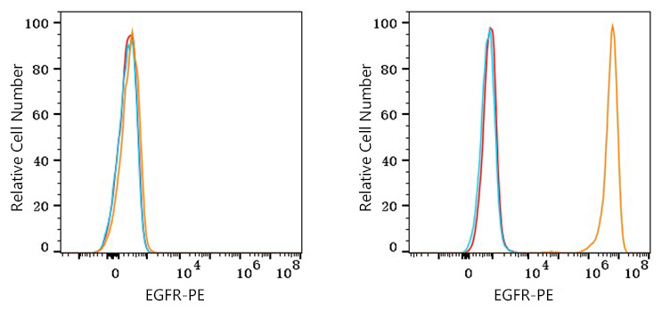 PE Rabbit anti-Human EGFR mAb