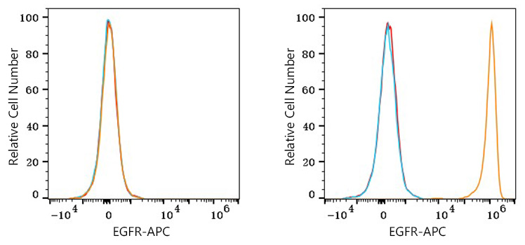 APC Rabbit anti-Human EGFR mAb