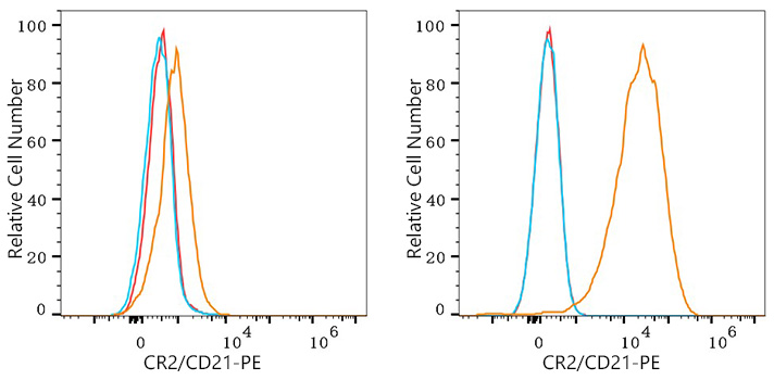 PE Rabbit anti-Human CR2/CD21 mAb