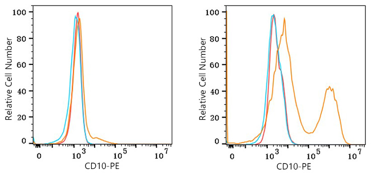 PE Rabbit anti-Human CD10 mAb