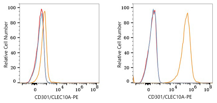 PE Rabbit anti-Human CD301/CLEC10A mAb