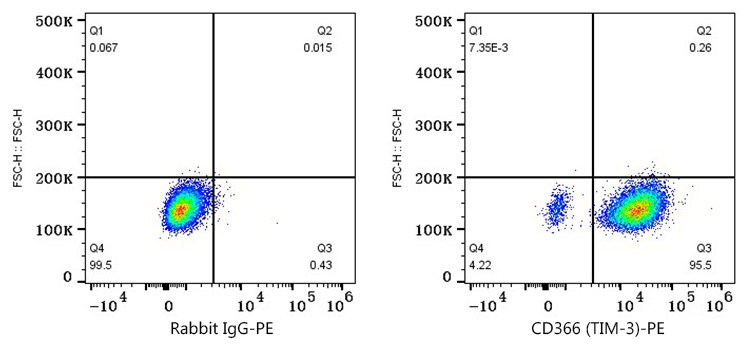 PE Rabbit anti-Mouse CD366 (TIM-3) mAb