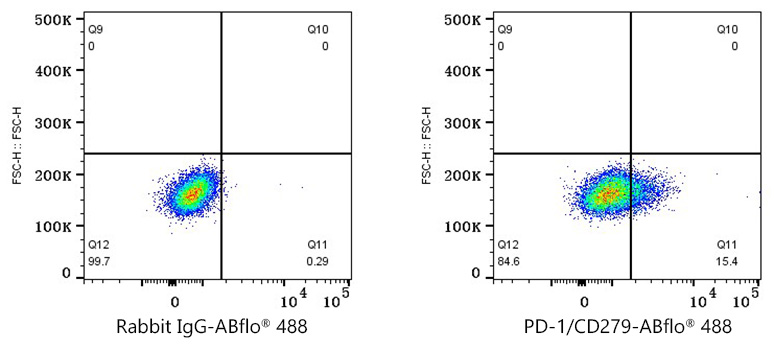 ABflo® 488 Rabbit anti-Human PD-1/CD279 mAb