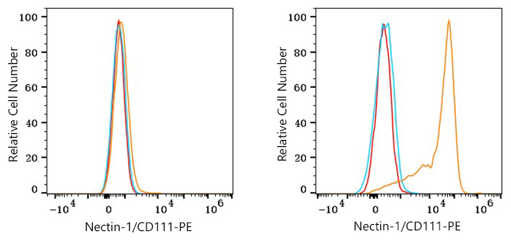 PE Rabbit anti-Human Nectin-1/CD111 mAb