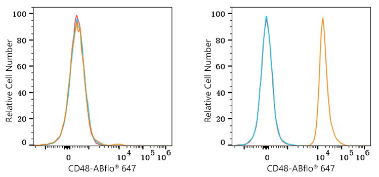 ABflo® 647 Rabbit anti-Mouse CD48 mAb