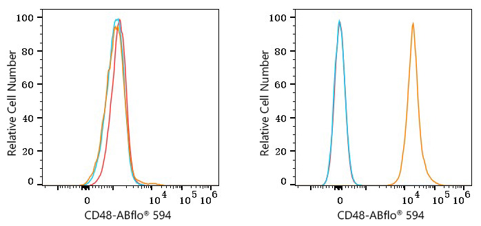 ABflo® 594 Rabbit anti-Mouse CD48 mAb