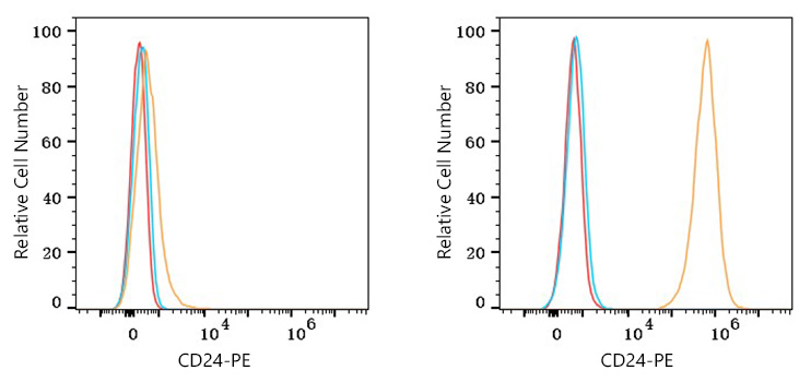 PE Rabbit anti-Human CD24 mAb