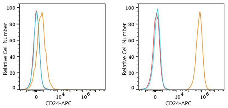 APC Rabbit anti-Human CD24 mAb