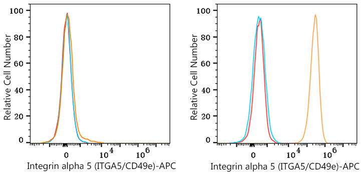 APC Rabbit anti-Human/Mouse Integrin alpha 5 (ITGA5/CD49e) mAb