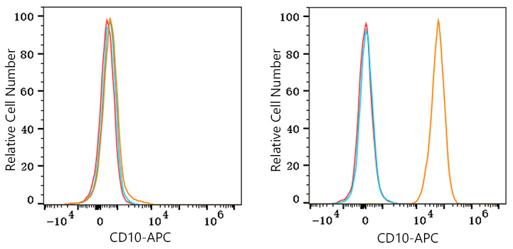 APC Rabbit anti-Human CD10 mAb