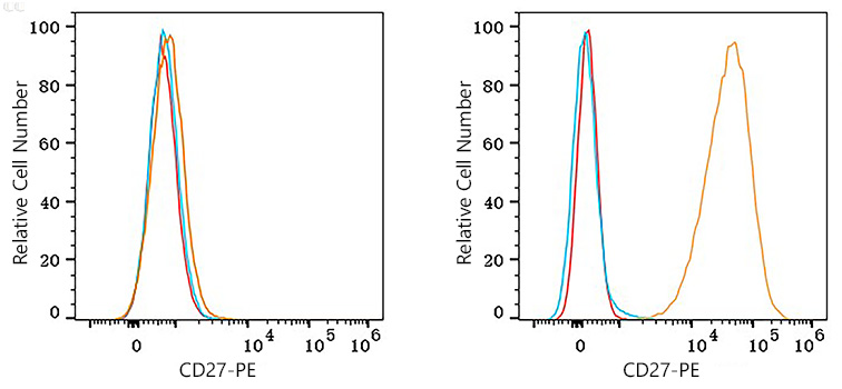 PE Rabbit anti-Human CD27 mAb