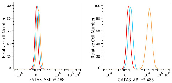 ABflo® 488 Rabbit anti-Human GATA3 mAb