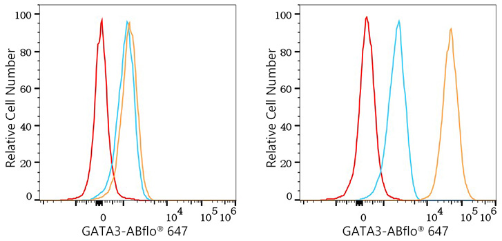 ABflo® 647 Rabbit anti-Human GATA3 mAb