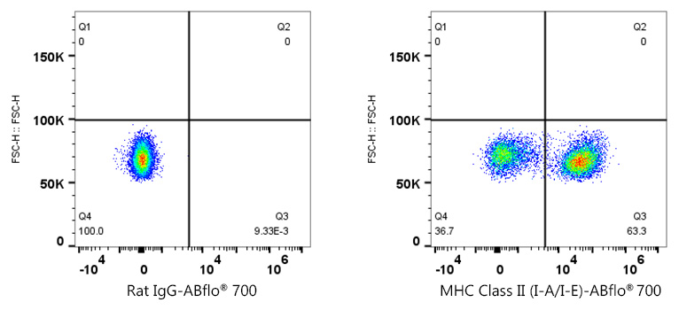 ABflo® 700 Rat anti-Mouse MHC Class II (I-A/I-E) mAb