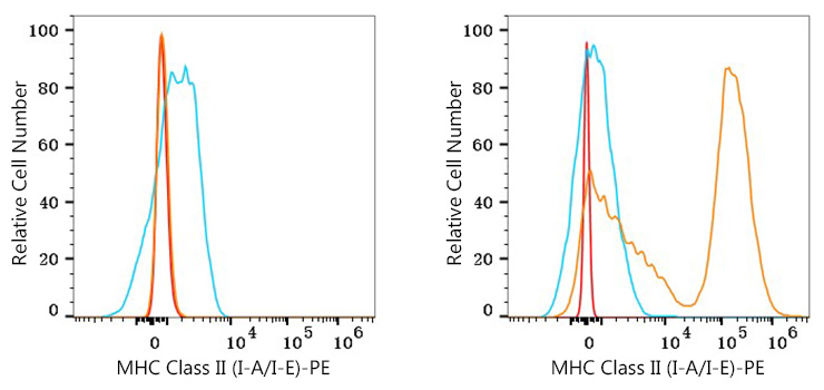 PE Rat anti-Mouse MHC Class II (I-A/I-E) mAb