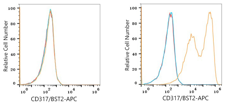 APC Rabbit anti-Mouse CD317/BST2 mAb