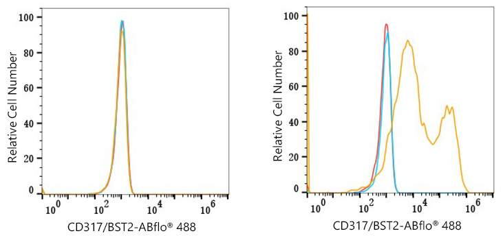 ABflo® 488 Rabbit anti-Mouse CD317/BST2 mAb