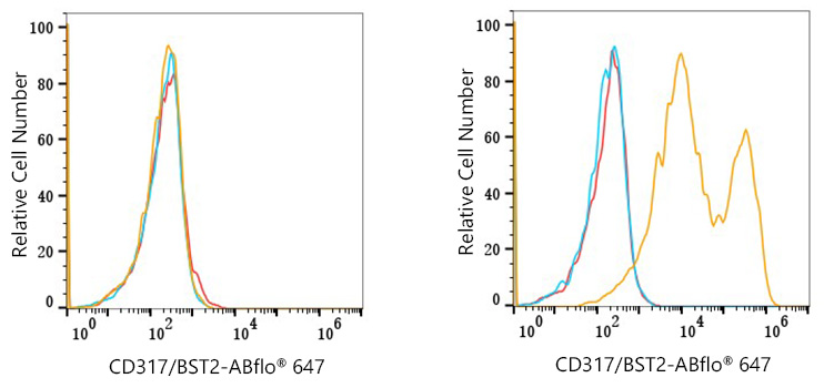 ABflo® 647 Rabbit anti-Mouse CD317/BST2 mAb