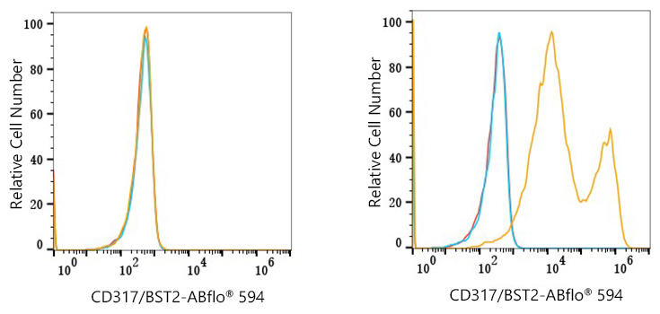 ABflo® 594 Rabbit anti-Mouse CD317/BST2 mAb