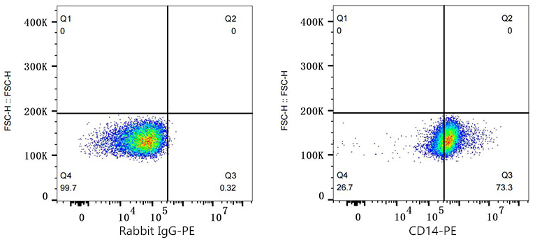 PE Rabbit anti-Mouse CD14 mAb